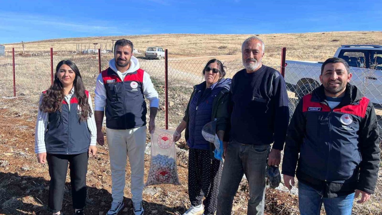 Tunceli’nin 4 ilçesinde sarımsak ekimi yapıldı