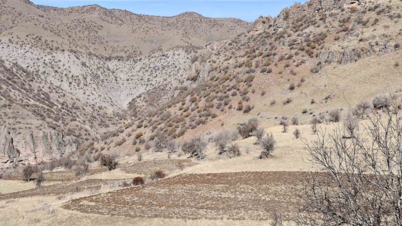 Bestler Dereler bölgesine 30 yıl sonra ilk kez yollar açılıyor