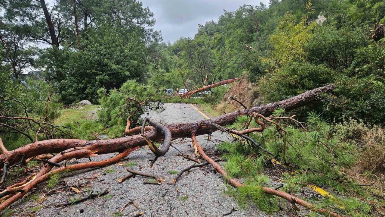 Menteşe Akbük’te şiddetli yağış ve rüzgar etkili oldu