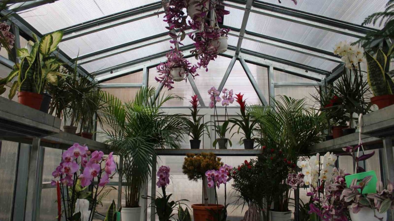 "Çiçek Doktoru" Ersan: "İnsanlar bitkileriyle ilgili yaşamış oldukları sorunları bana iletiyor, ben de onlara çözümler üretiyorum"