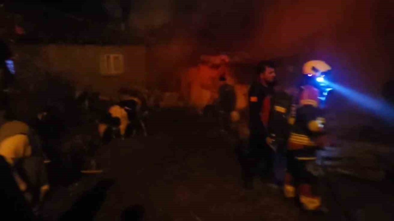 Sındırgı’da hayvan damı ve samanlıkta yangın