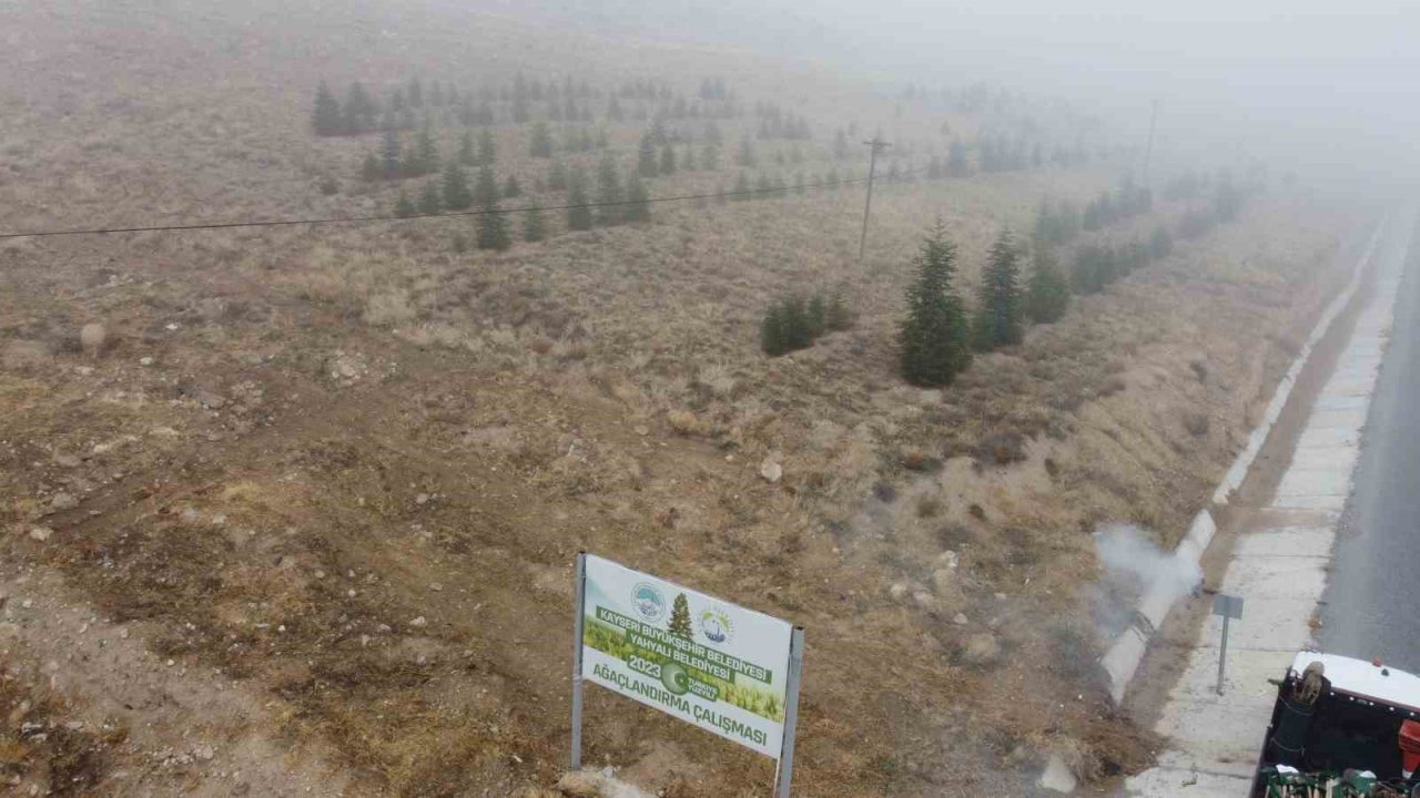 Yahyalı’ya bin 200 fidan dikildi