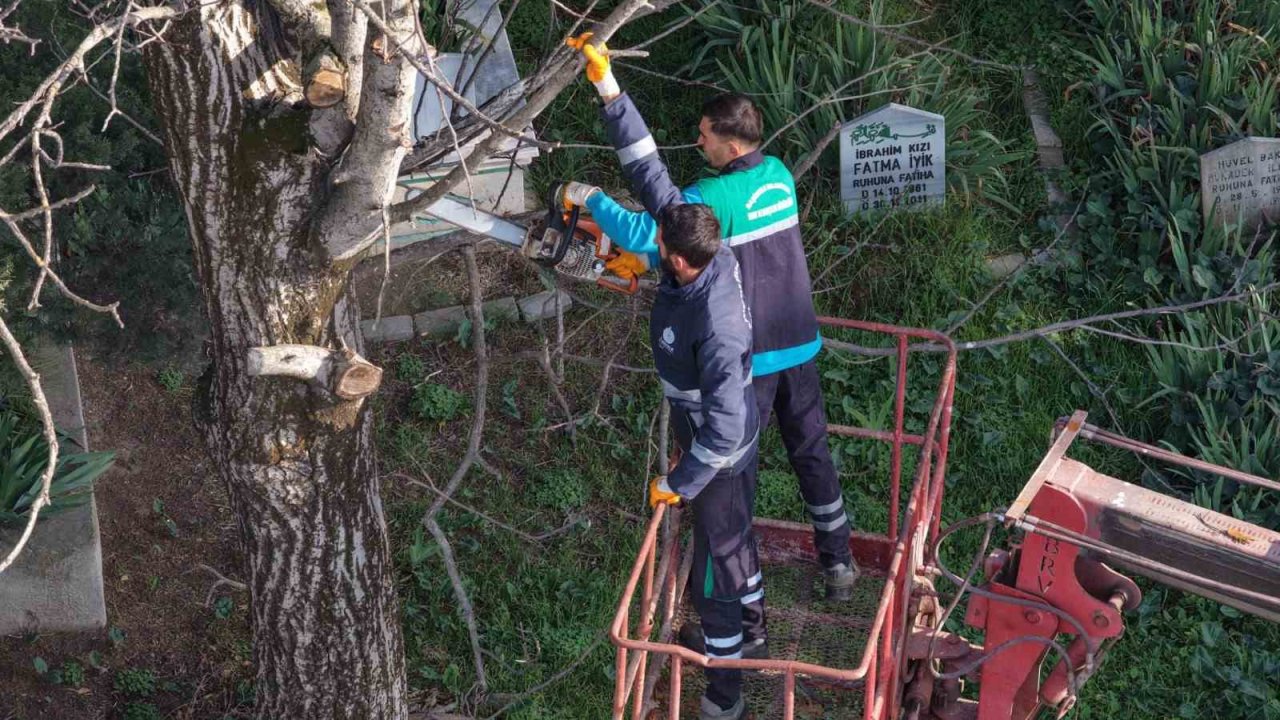 Başiskele’de budanan ağaç dalları ihtiyaç sahiplerine yakacak oluyor