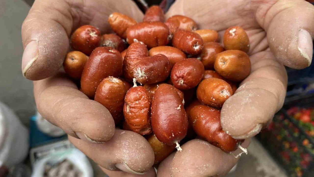 Alaşehir’de iğde ağaçlarının sayısı her geçen gün azalıyor