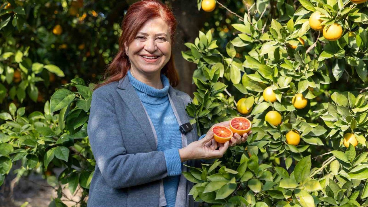 Mersin kan portakalında hedef AB tescili