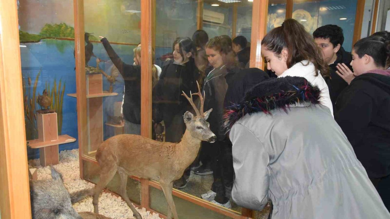 Öğrenciler hayvan müzesini ilgi ile gezdi