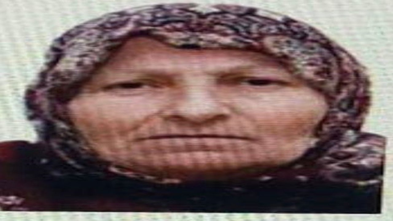 Bilecik’te kaybolan yaşlı kadını jandarma buldu