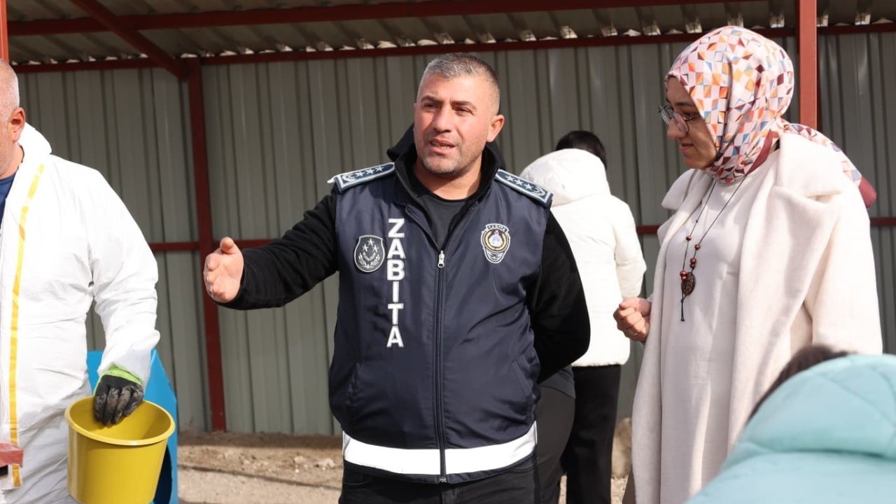 Bünyan’da öğrencilerden sokak hayvanları için anlamlı etkinlik