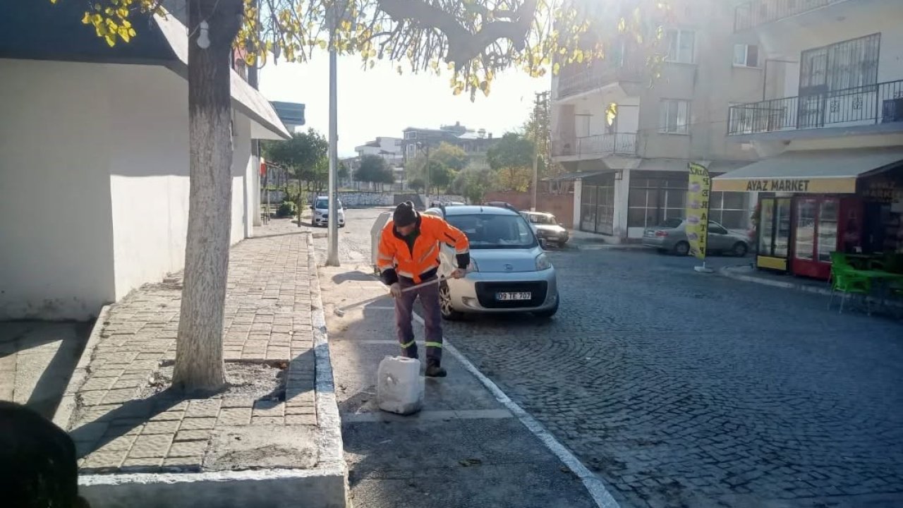 Germencik’te kireçleme ve ağaç budama çalışması