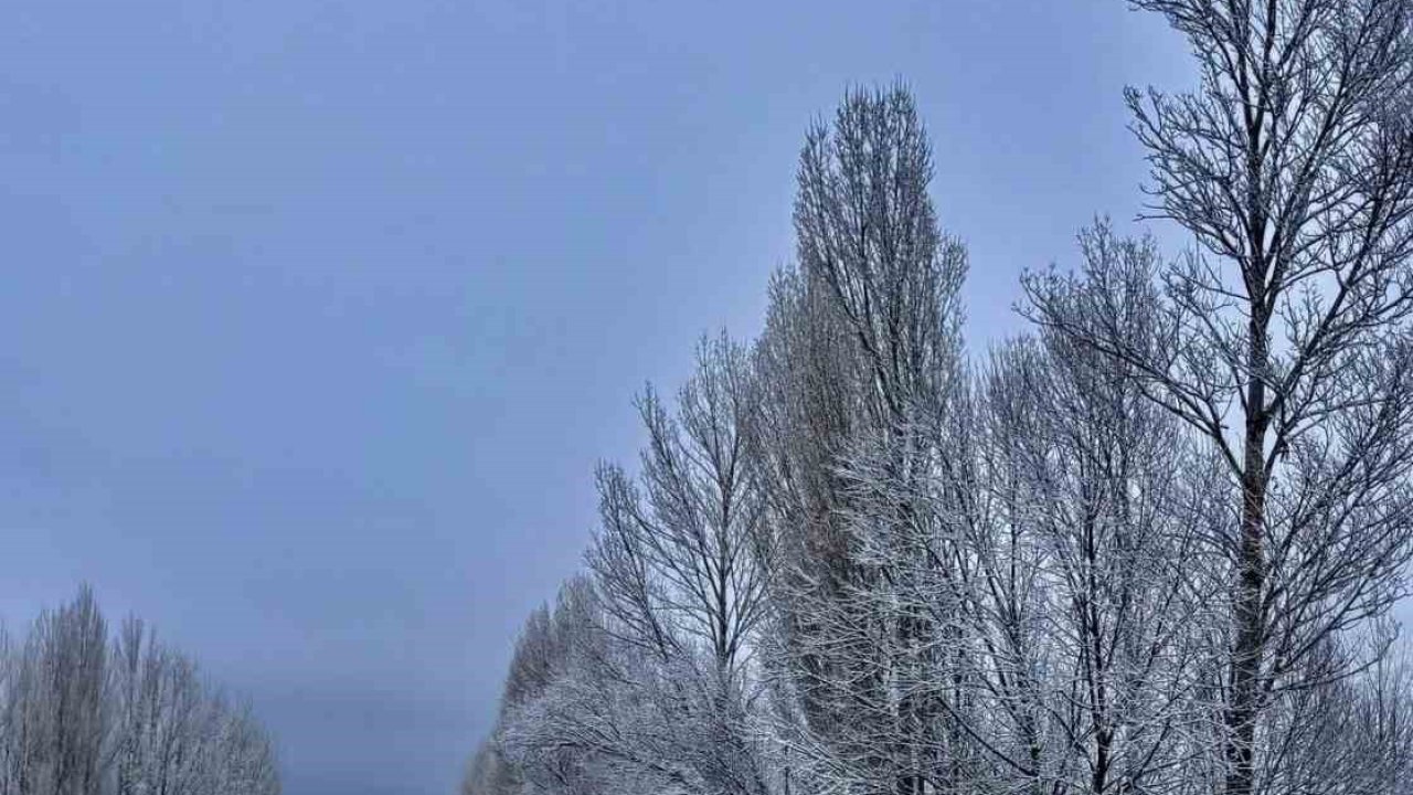 Gökçedere’de kar yağışı sonrası ağaçlar beyaz örtüyle kaplandı