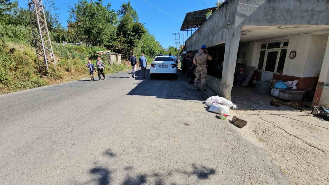 İki kardeş ve babaannelerini öldüren sanık "Kasap mıyım cani miyim durduk yere yapayım, savunmak içindi"