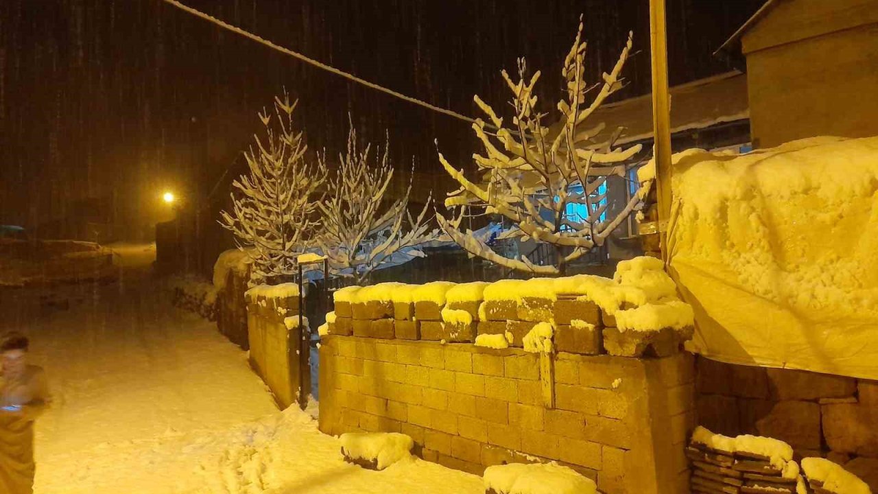 Ahlat’ta kar yağışı