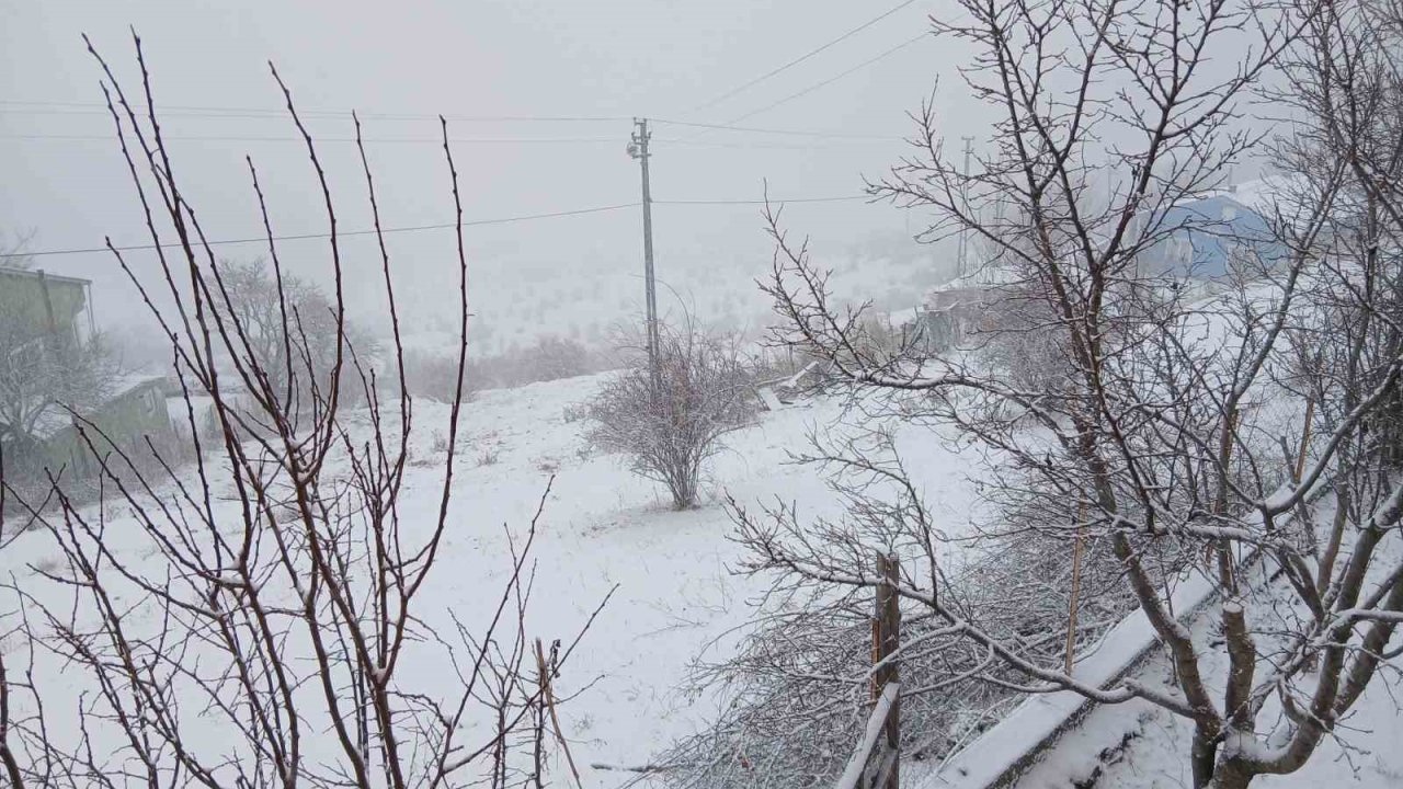 Posof’ta kar yağışı etkili oluyor