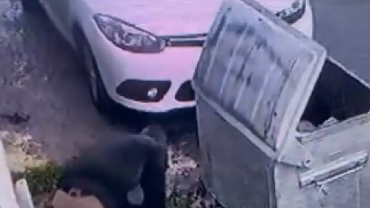 İSKİ çalışanından tepki çeken görüntüler: Önce boruyu kesti, sonra tamire geldi