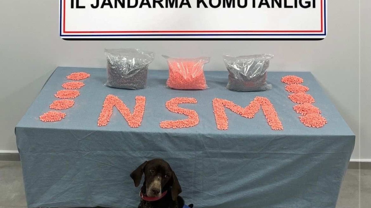 Jandarma KOM’un başarılı operasyonunda 28 bin adet uyuşturucu hap ele geçirildi