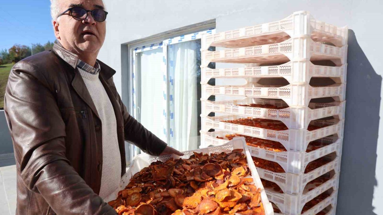 Köyde kurulan tesisle kurutulan cennet hurmaları Almanya’ya ihraç edildi