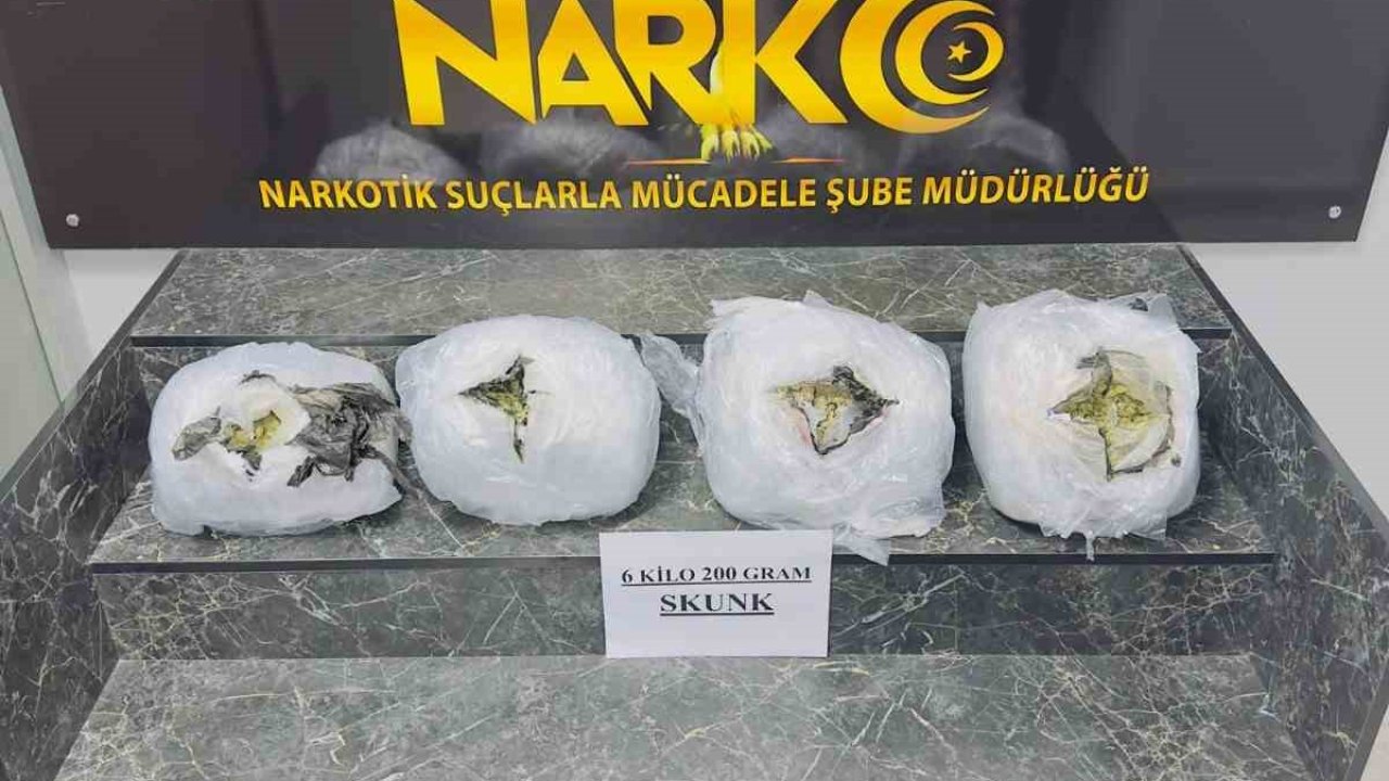 Şırnak’ta 6 kilo 200 gram skunk ele geçirildi