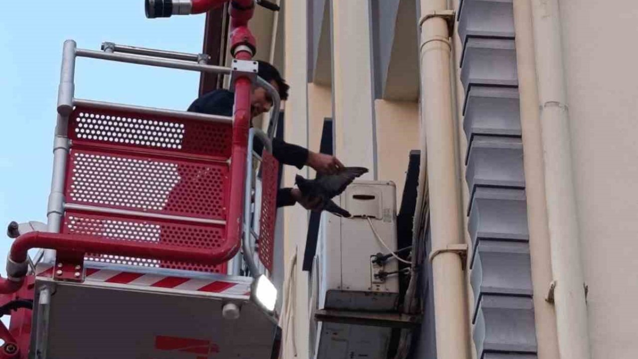 İskenderun’da klima motoruna dolaşan kuş kurtarıldı