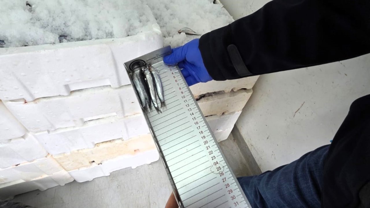 Kırklareli’nde su ürünleri denetimi