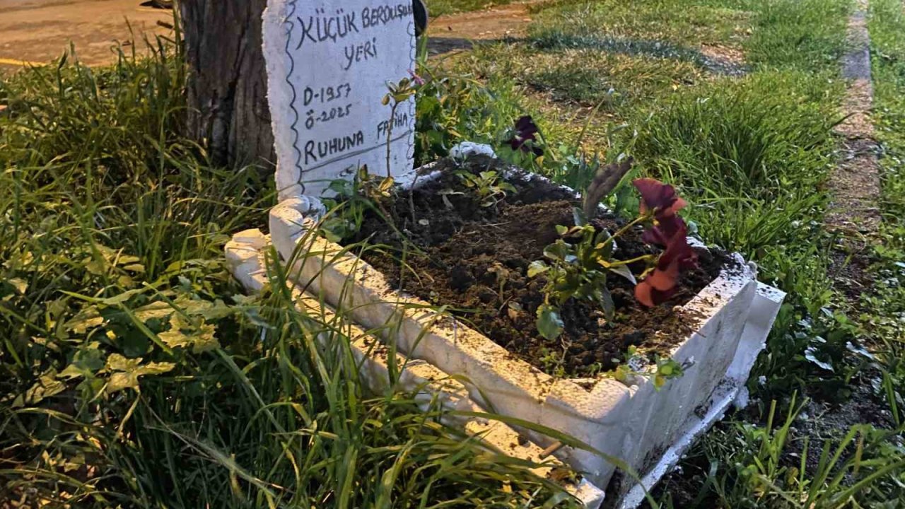 Taksicilerden vefa...Ölen muhabbet kuşları için mini mezar yaptılar