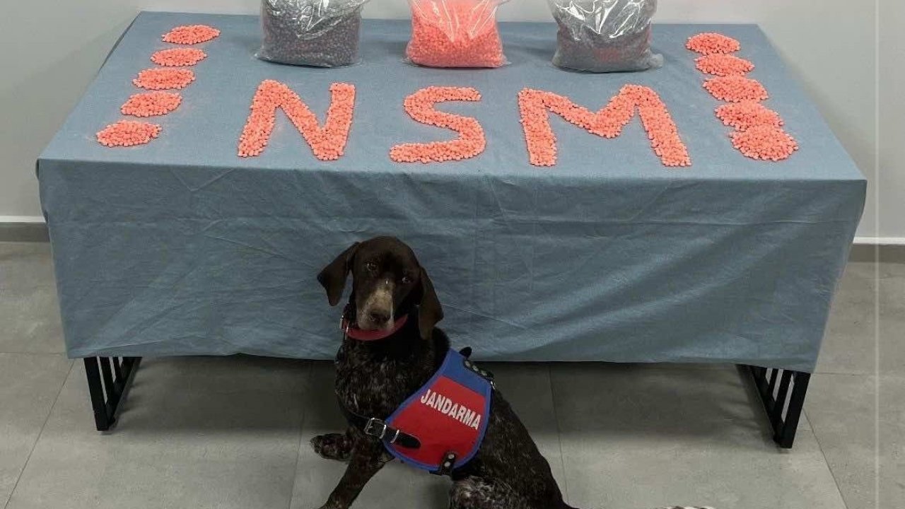 Denizli’de jandarma narkotik ekipleri zehir tacirlerine göz açtırmıyor