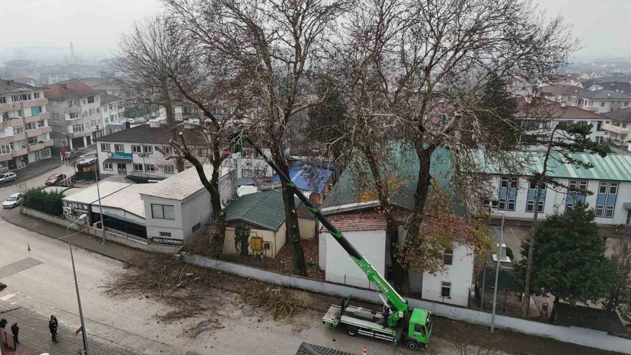 Düzce’de ağaçlara kış bakımı