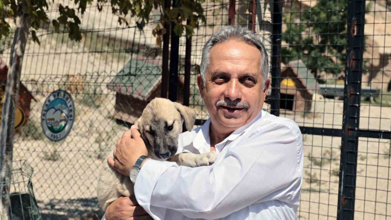 Talas Patievi Doğal Yaşam Alanı 500 can için seçkin bir yuva