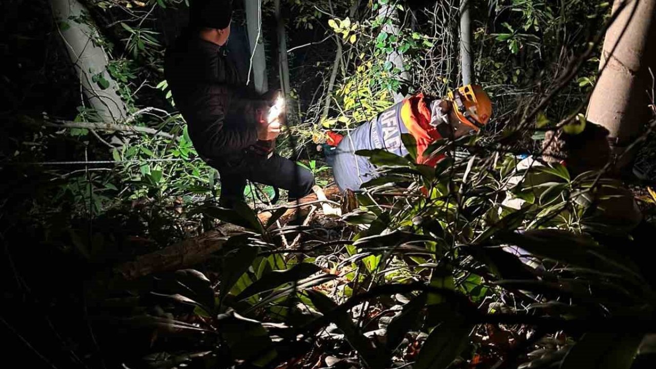 Orman işçisi için ekipler seferber oldu