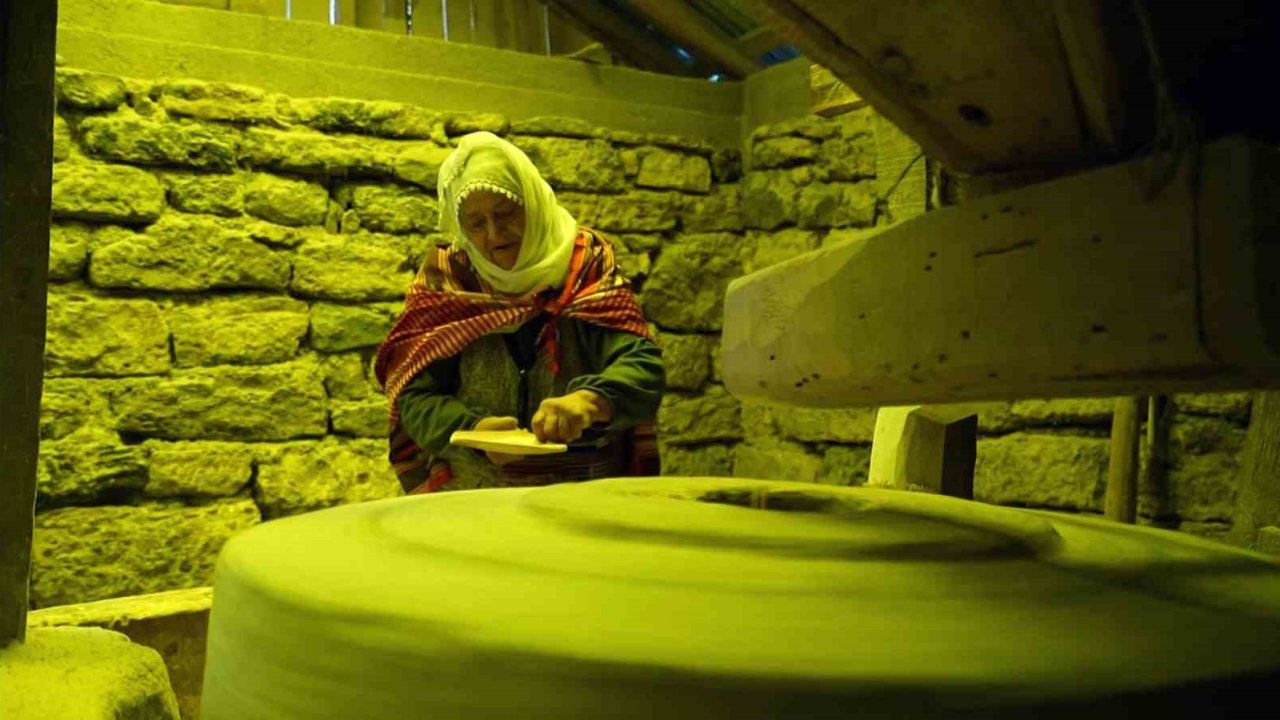 Tarihi değirmenler dönüyor, mısır unu gurbet yollarına çıkıyor