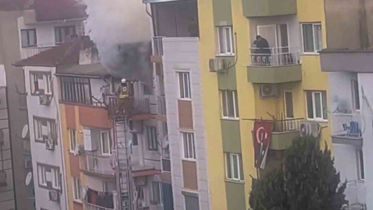 Manisa’da ev yangını: 6 kedi telef oldu