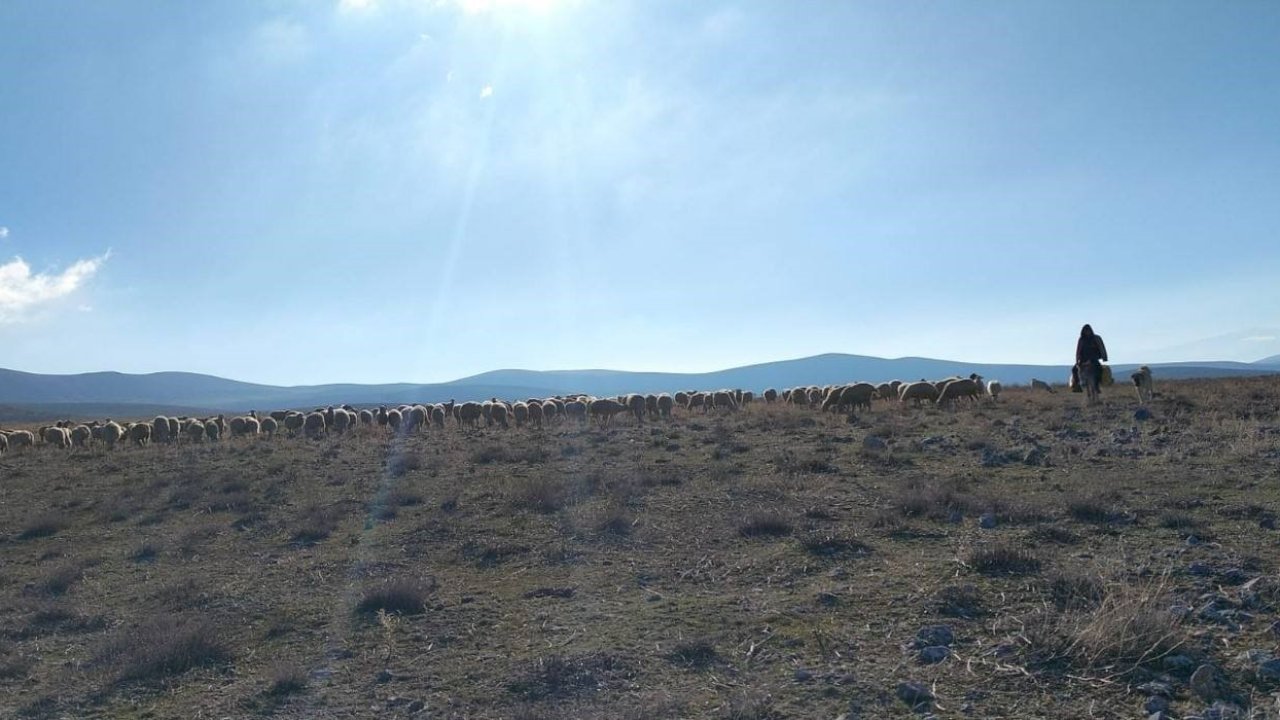 Geçici maden arama izni verilen meralarda kontroller yapıldı