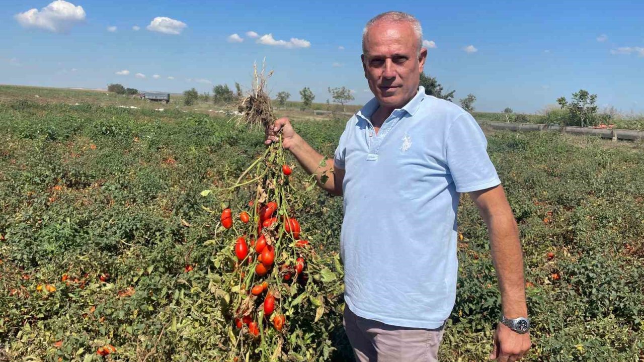 Dedesi seçimde muhtar oldu adına "Seçim" konuldu