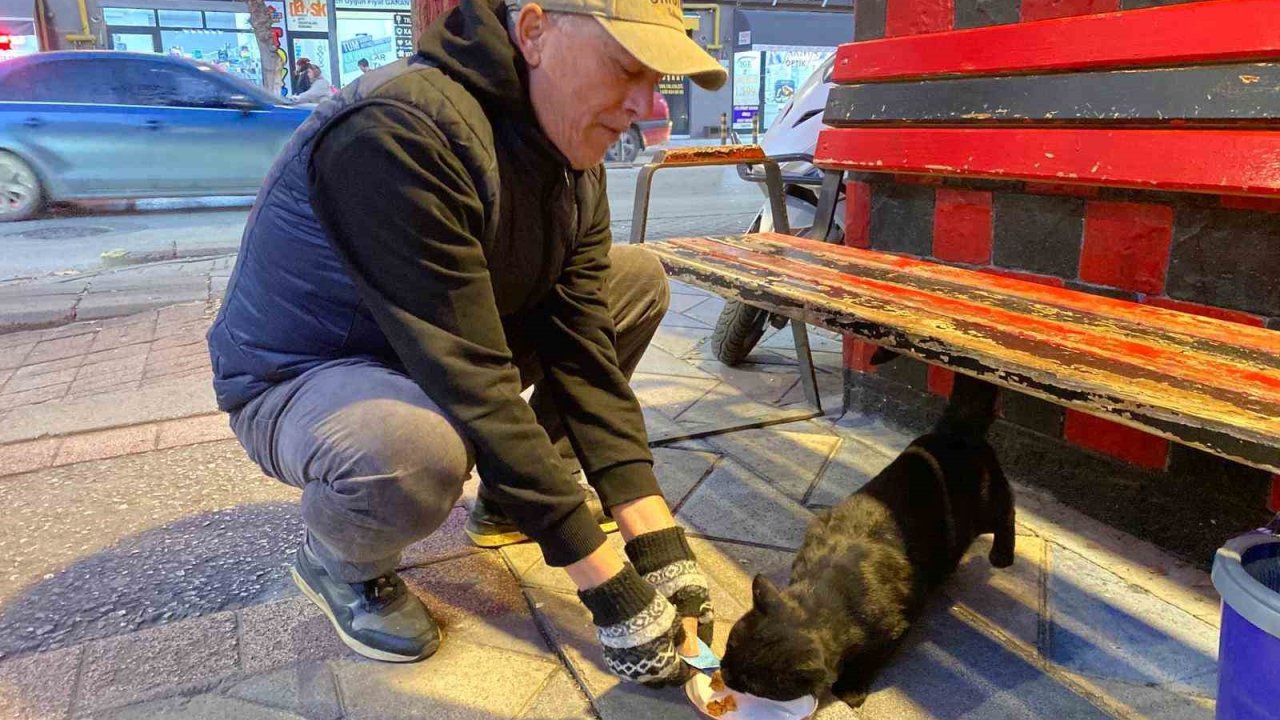 Bu taksi durağı esnafın hayvan sevgisi ile öne çıkıyor