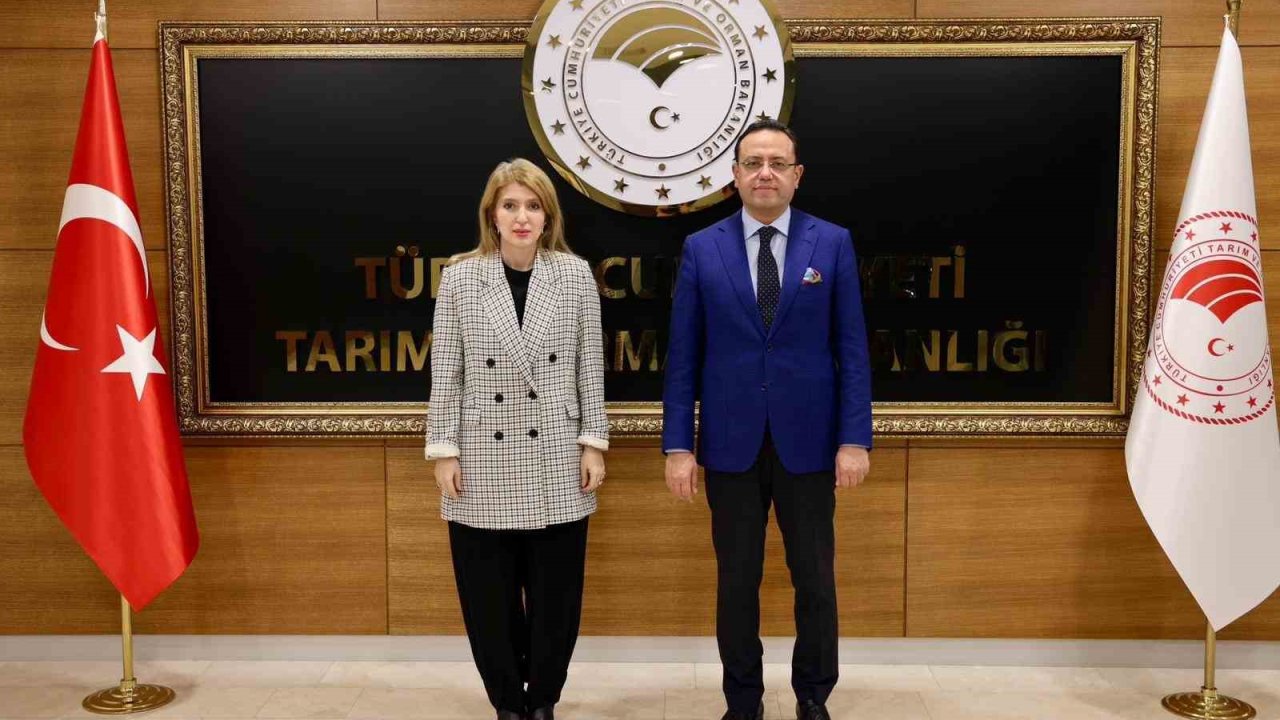 Bakan Yardımcısı Gizligider ile görüşen Ölmeztoprak, üreticinin taleplerini iletti