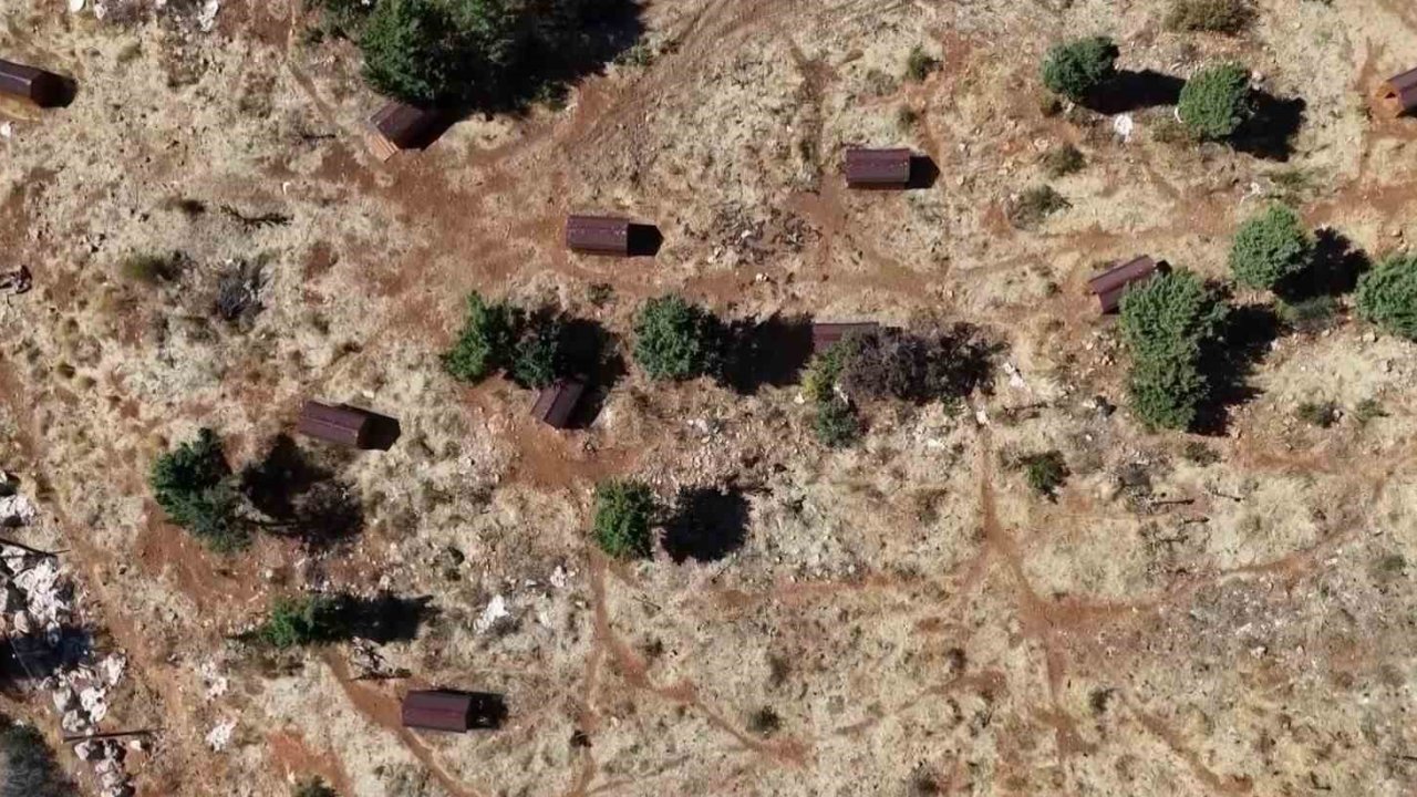 Sokak hayvanları sıcak yuvaya kavuştu