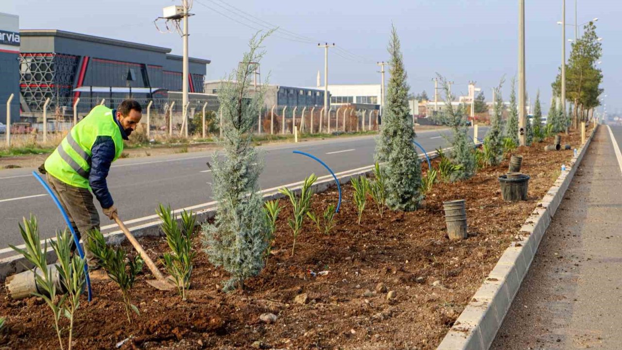Diyarbakır’ın 14 kilometrelik girişi ağaçlandırılıyor
