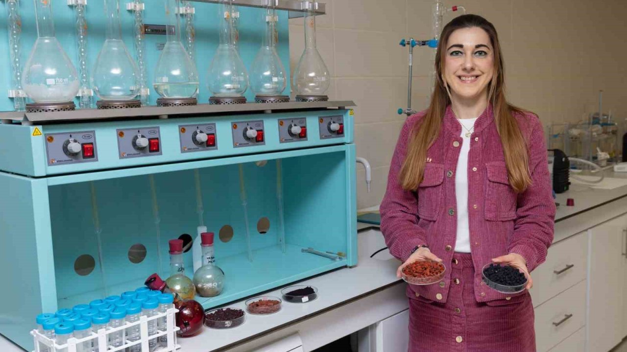 Kırmızı-mor meyvelerden fonksiyonel gıda ürünü