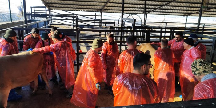 Veterinerler Eğitim için Kars’ta Buluştu