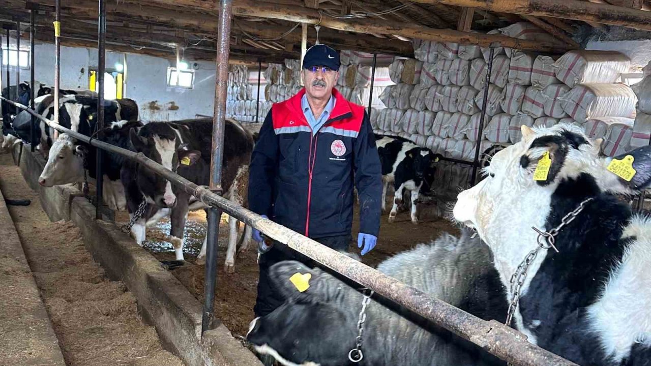 Beyşehir’de hayvancılık faaliyetleri yakın takipte