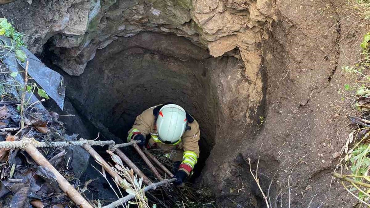 Kırkağaç’ta kuyuya düşen köpek itfaiye ekiplerince kurtarıldı