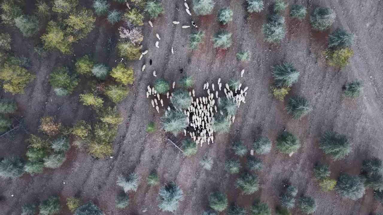 1 milyon 220 bin metrekarelik mera arazisinde "imar planı" iddiası: Müfettişler incelemeye aldı