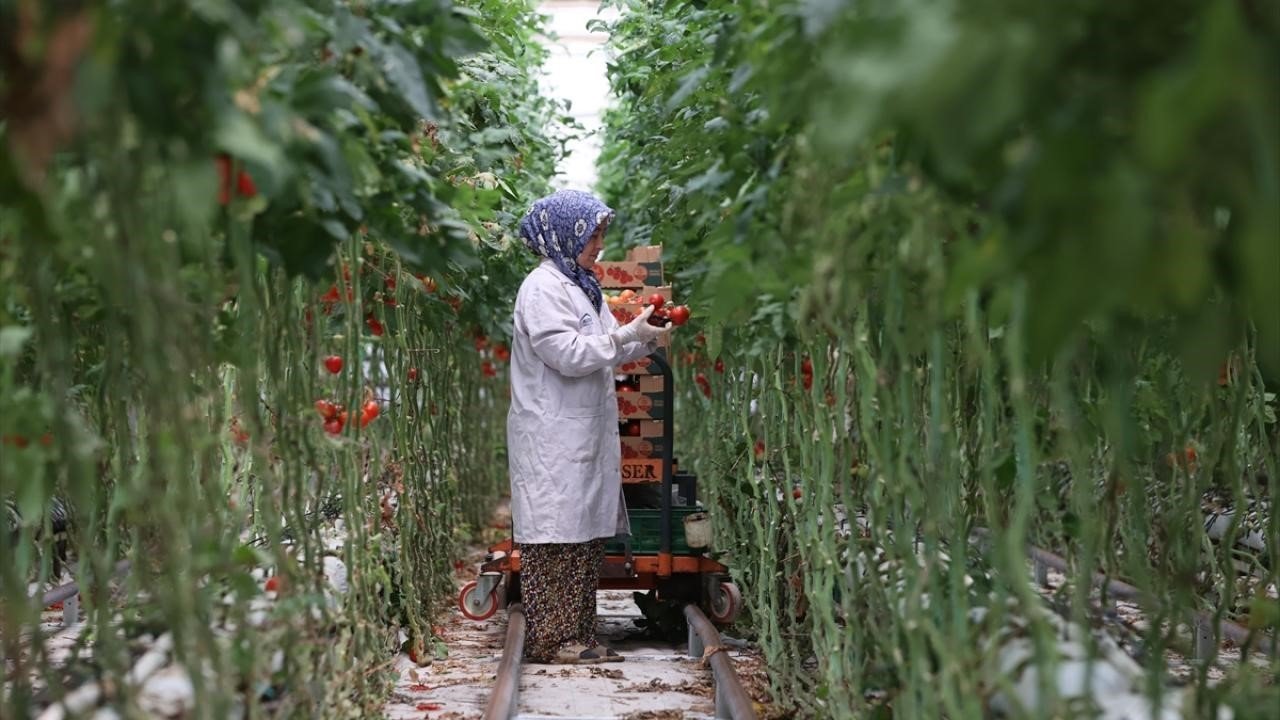 Jeotermal, 2025’te yatırım uykusundan uyandı