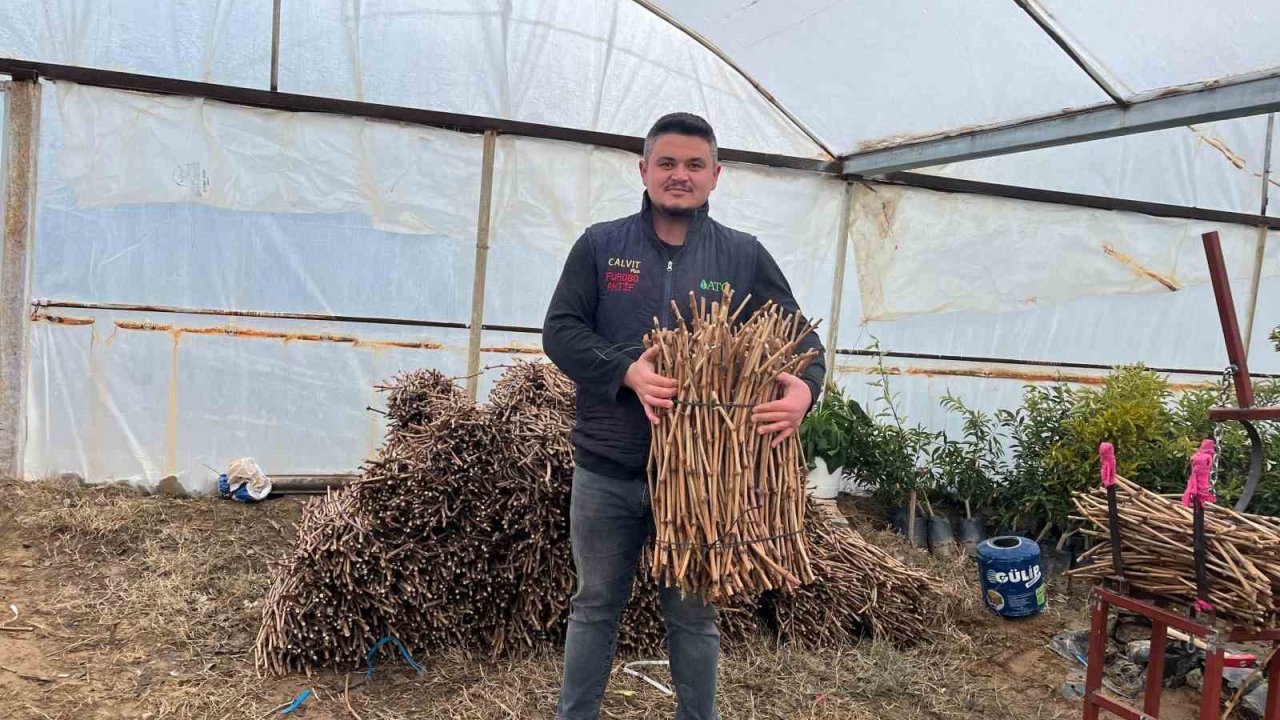 Genç kardeşlerden Sarıgöl ekonomisine 700 bin fidan hamlesi