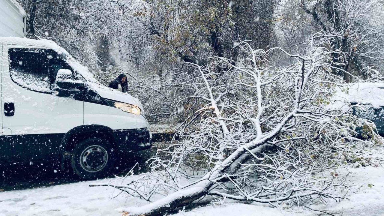 Birecik’te karın ağırlığına dayanamayan ağaç dalları araçların üzerine devrildi