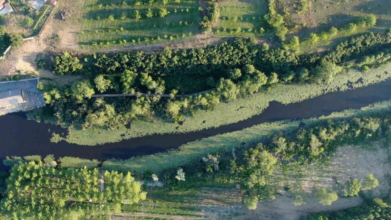 Doğanın kalbi Sakarya’da attı: İki yeşil noktaya 605 bin ziyaretçi