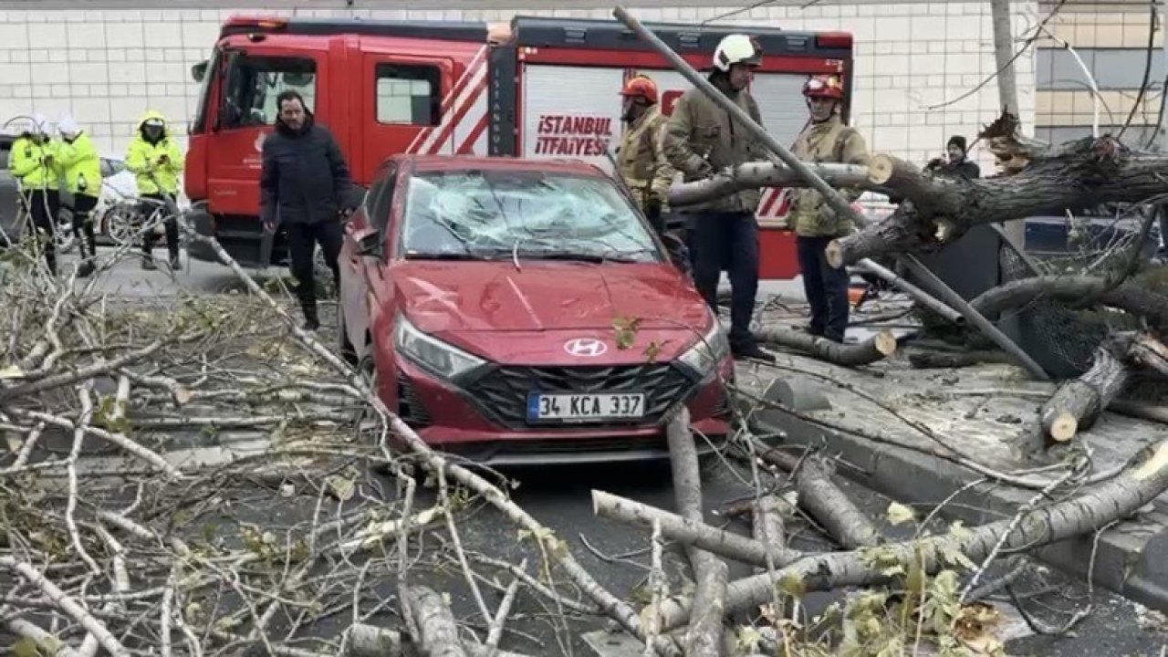 Şişli’de ağaç, park halindeki aracın üzerine devrildi