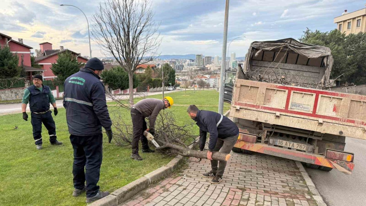 Şiddetli lodosun devirdiği ağaçlara anında müdahale