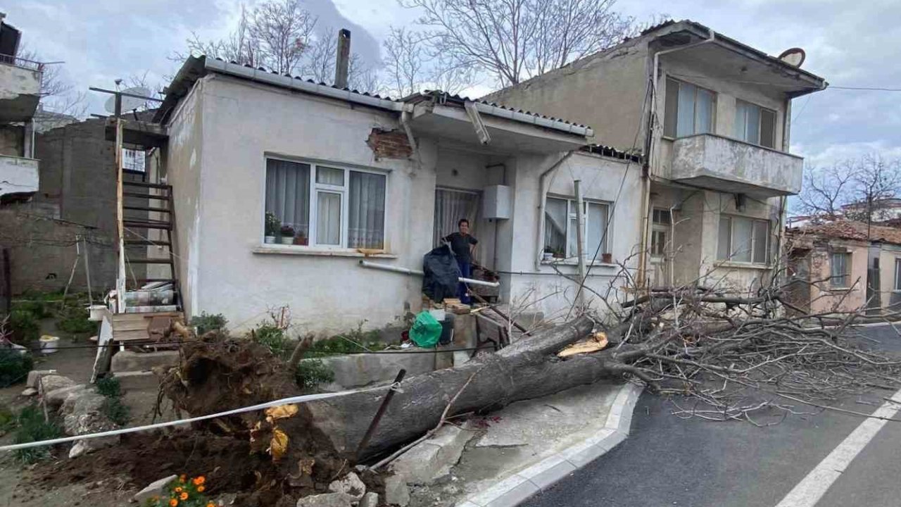 Çanakkale’de lodos fırtınasında devrilen ağaç evin çatısına zarar verdi