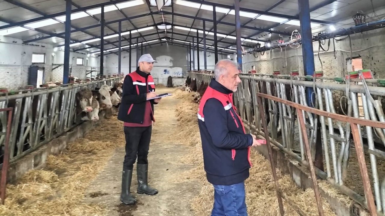 Besicilik işletmelerine yönelik ‘kapasite ölçümleri’ devam ediyor