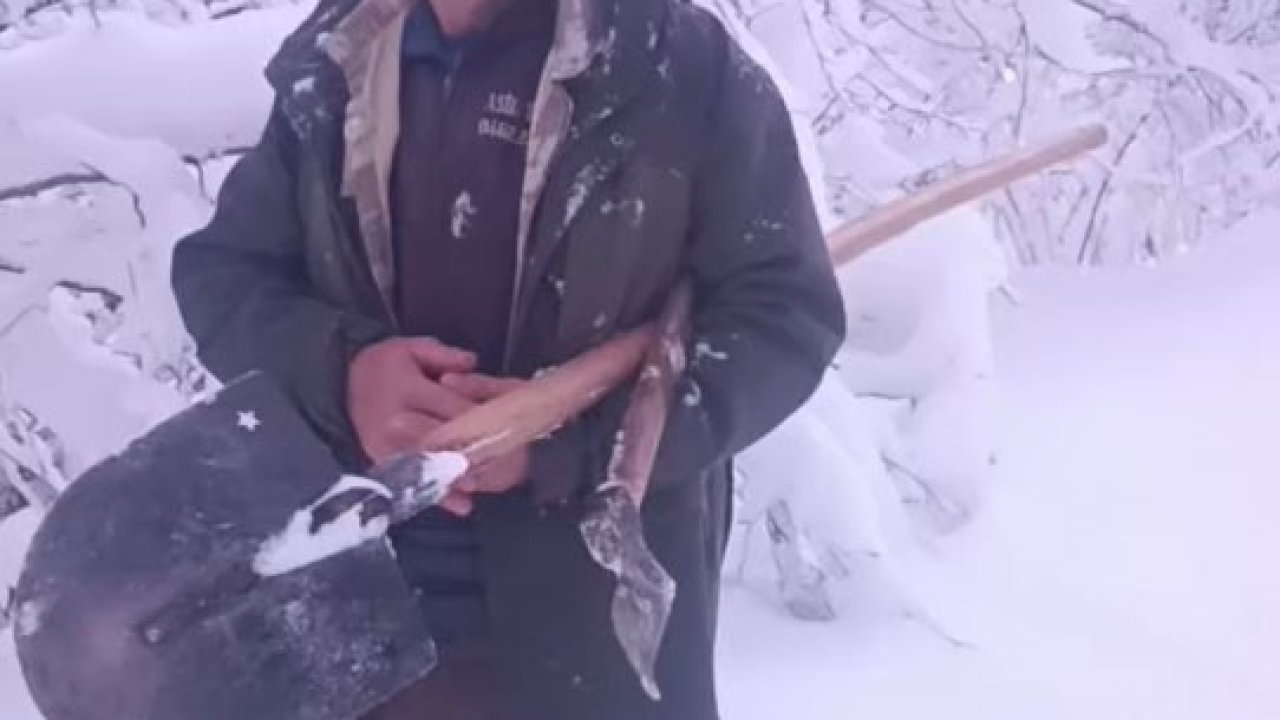 Çobanın yardım çağrısına valilik anında karşılık verdi: Karlı yollar aşılarak hayvanlara yem ulaştırıldı